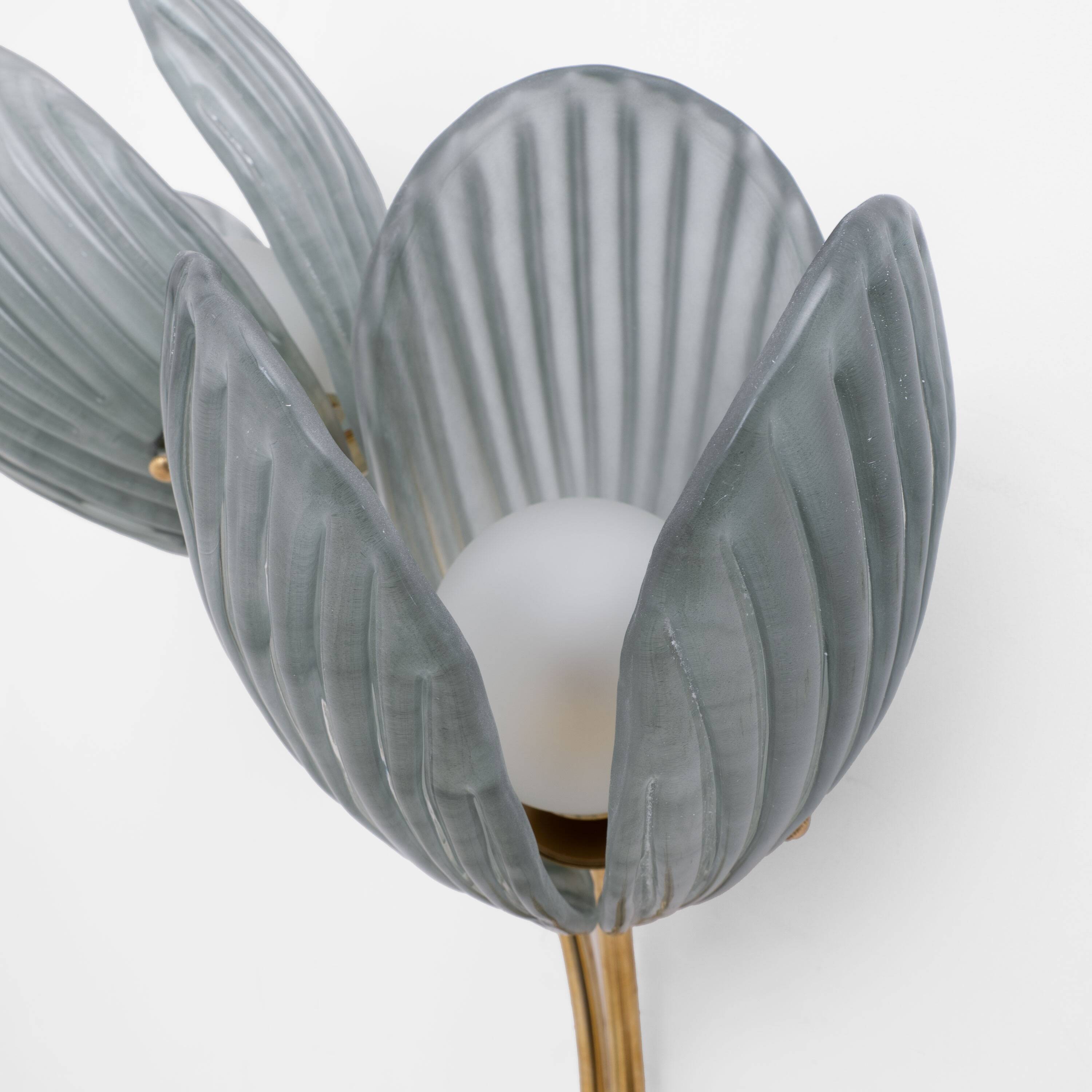 Pair of Tulips Murano Glass and Brass Sconces