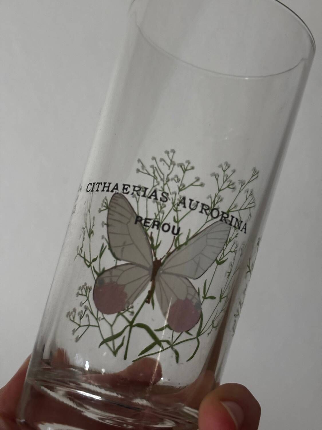 Vintage lot de 3 verres à eau papillons du monde