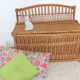 Bench wicker trunk