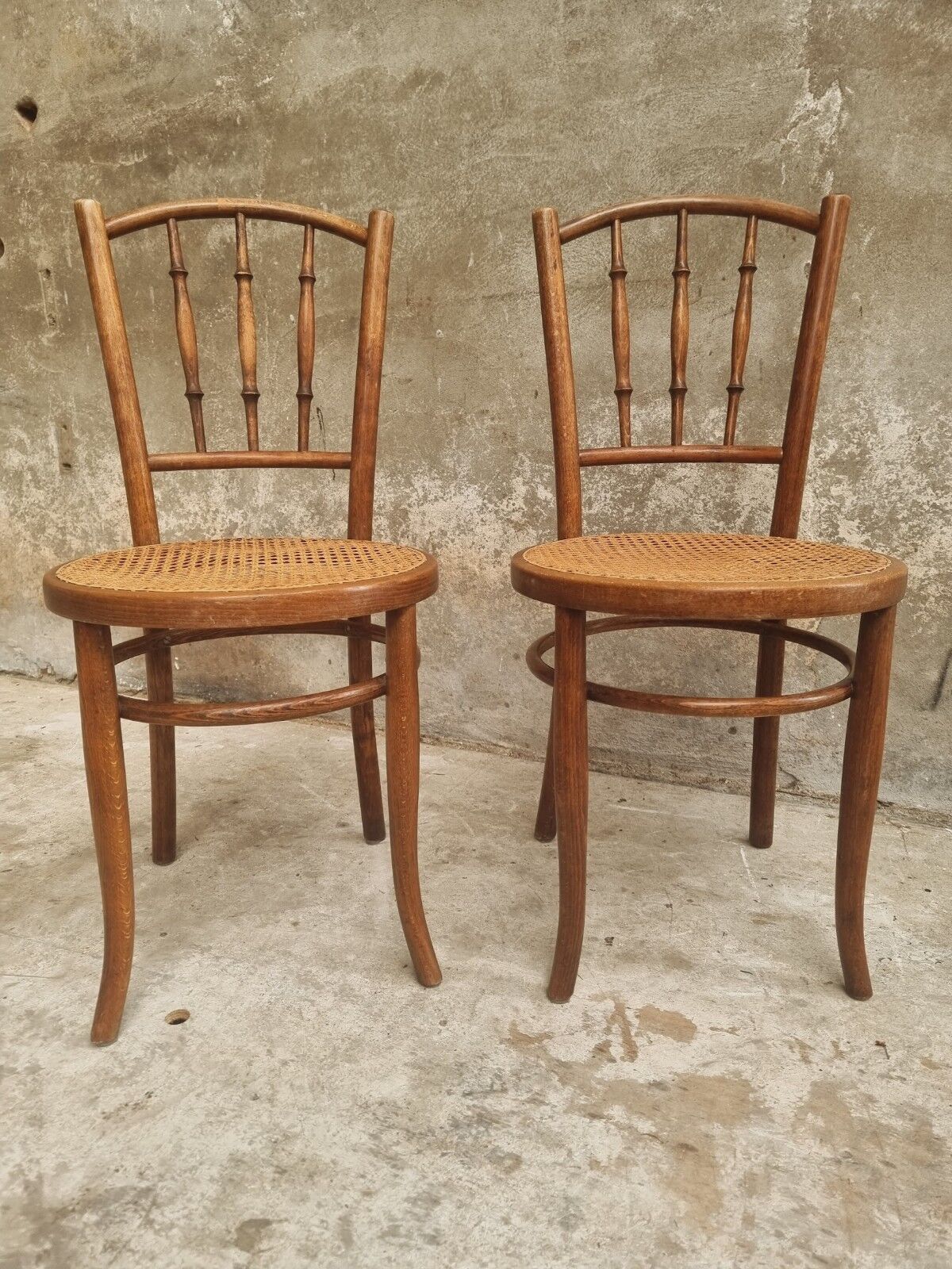 Antique chairs by Fischel