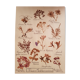 Herbarium plank