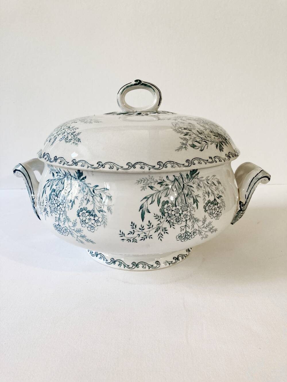 Iron earth soup tureen, Sarreguemines, Eglantine model