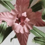 Lustre iron and painted sheet flowers camellias