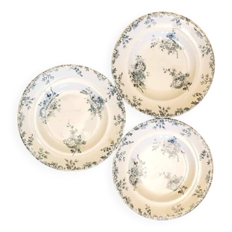 Set of 3 Longwy Hanoi model plates