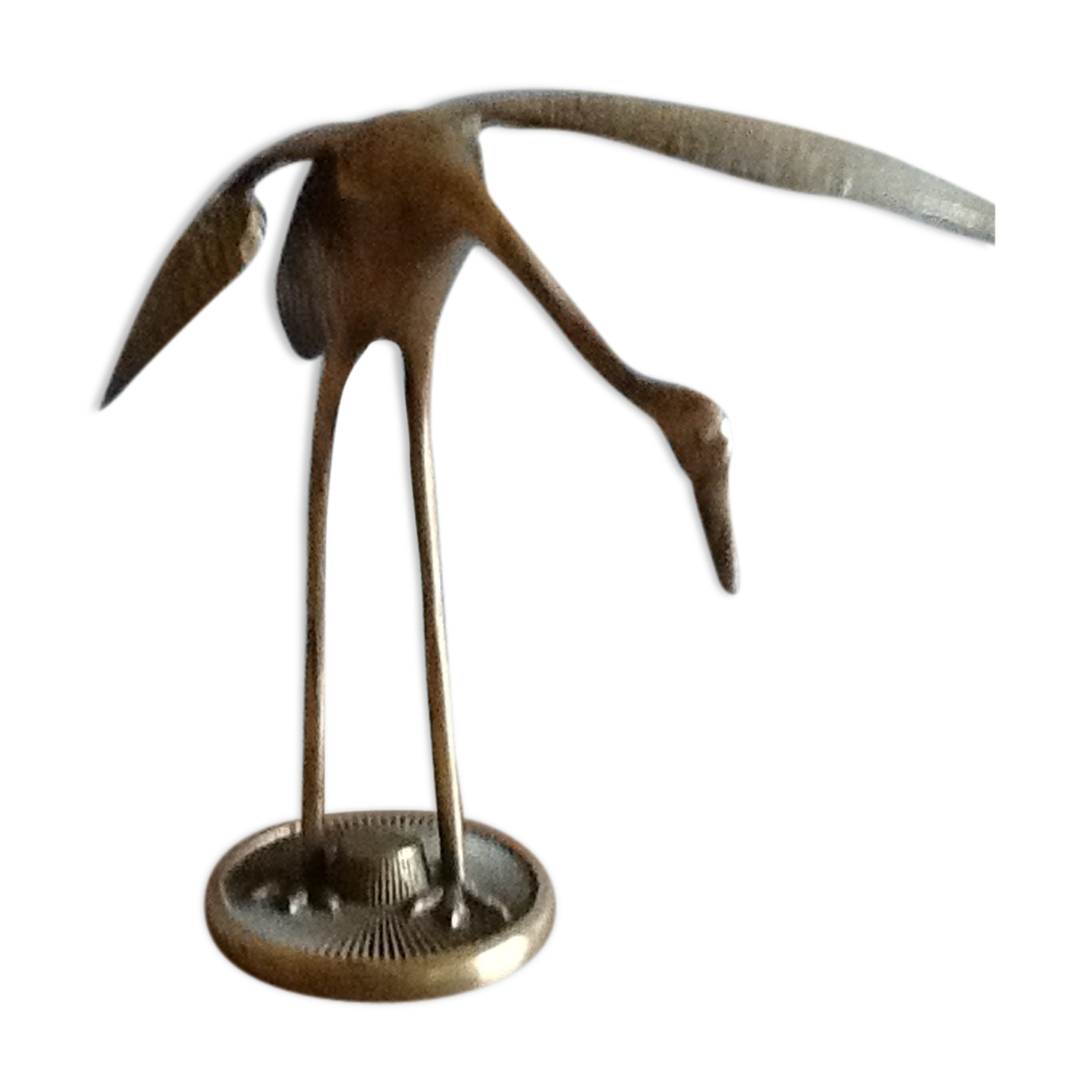 Bird takes off brass