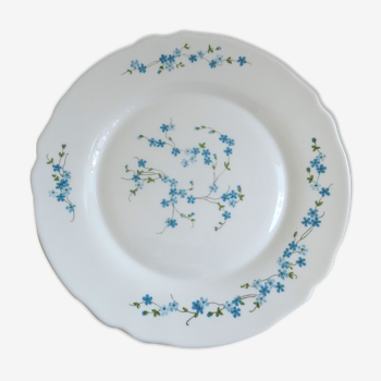 Plat Arcopal