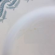 5 assiettes plates en terre de fer de St Amand modèle Réjane 210726