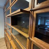 Large Globe Wernicke Bookcase