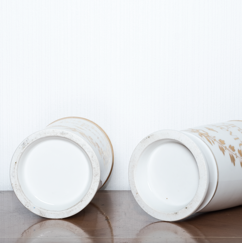 Pair of pharmacy jars