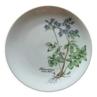 Assiette porcelaine fine