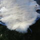 Sheepskin