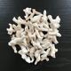 Lot of white corals