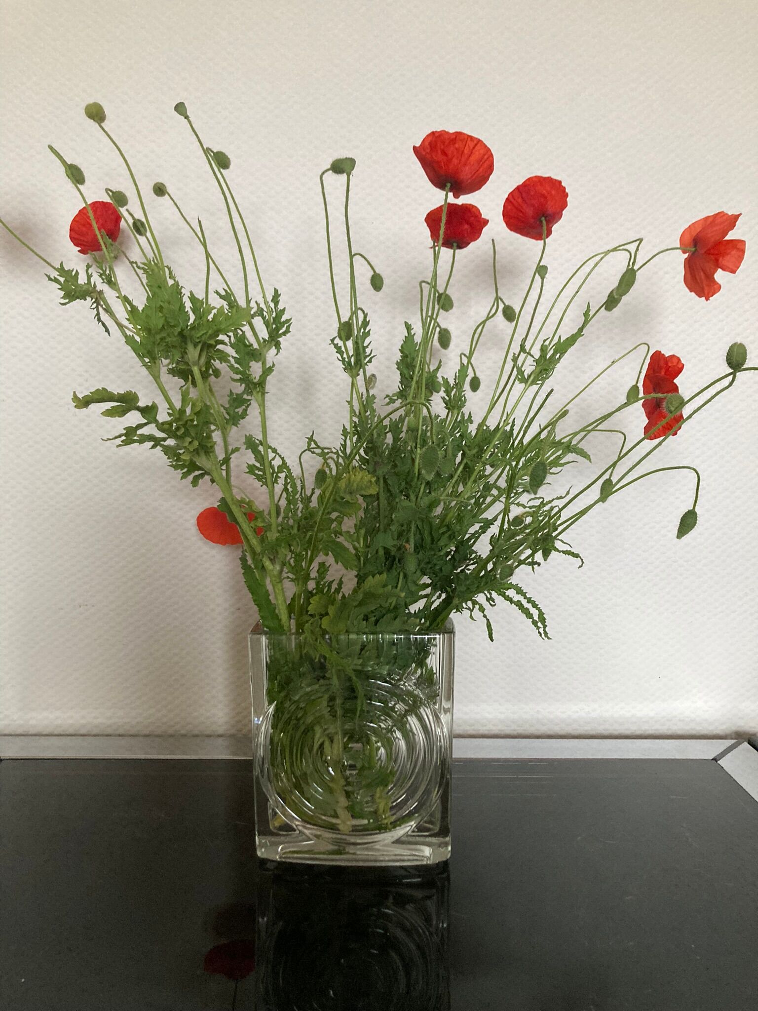 Vase vratislav Sotola