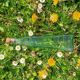 Carafe en verre - Vintage -