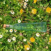 Carafe en verre - Vintage -