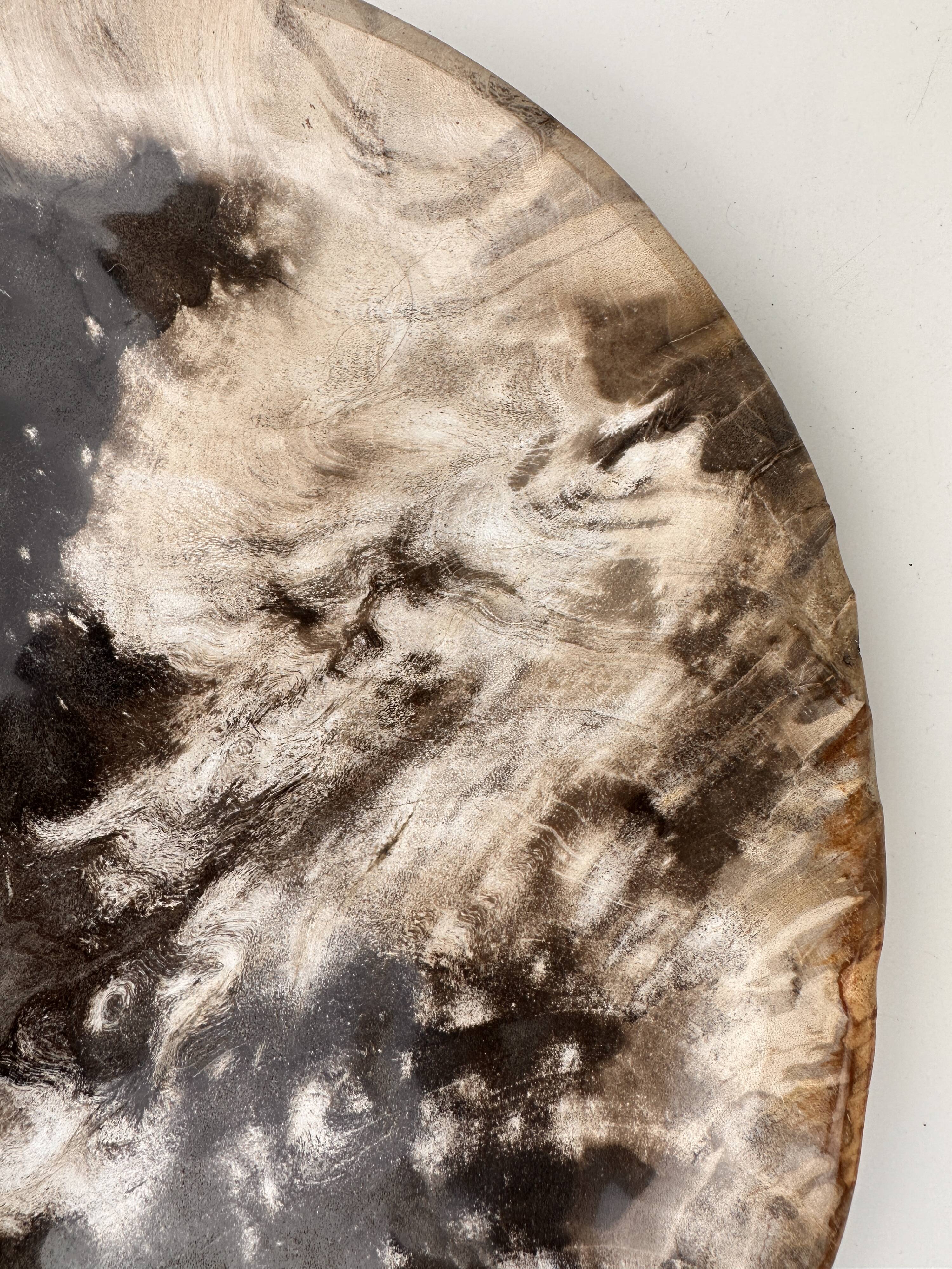 Very large empty pocket or petrified wooden flat