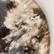 Very large empty pocket or petrified wooden flat