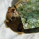 Murano glass wall sconce from the 1950s.