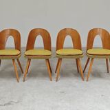 Set of 4 yellow Antonin Suman chairs for Tatra Nabytok 1960