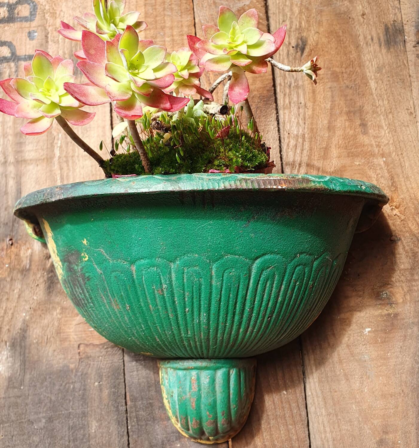 Cast iron planter