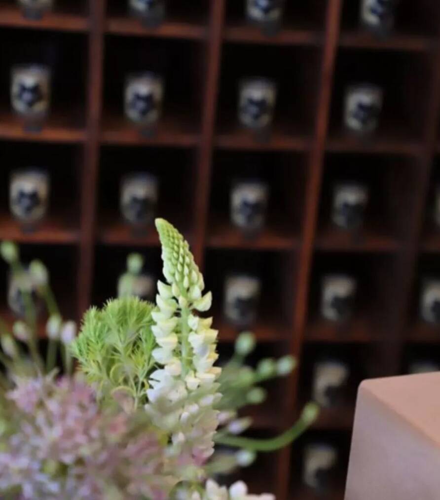 professional furniture, cabinet of curiosities