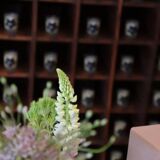 professional furniture, cabinet of curiosities