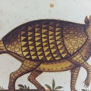 Paire de reproductions du Codex Pomar d'Histoire Naturelle, Valence, 1990
