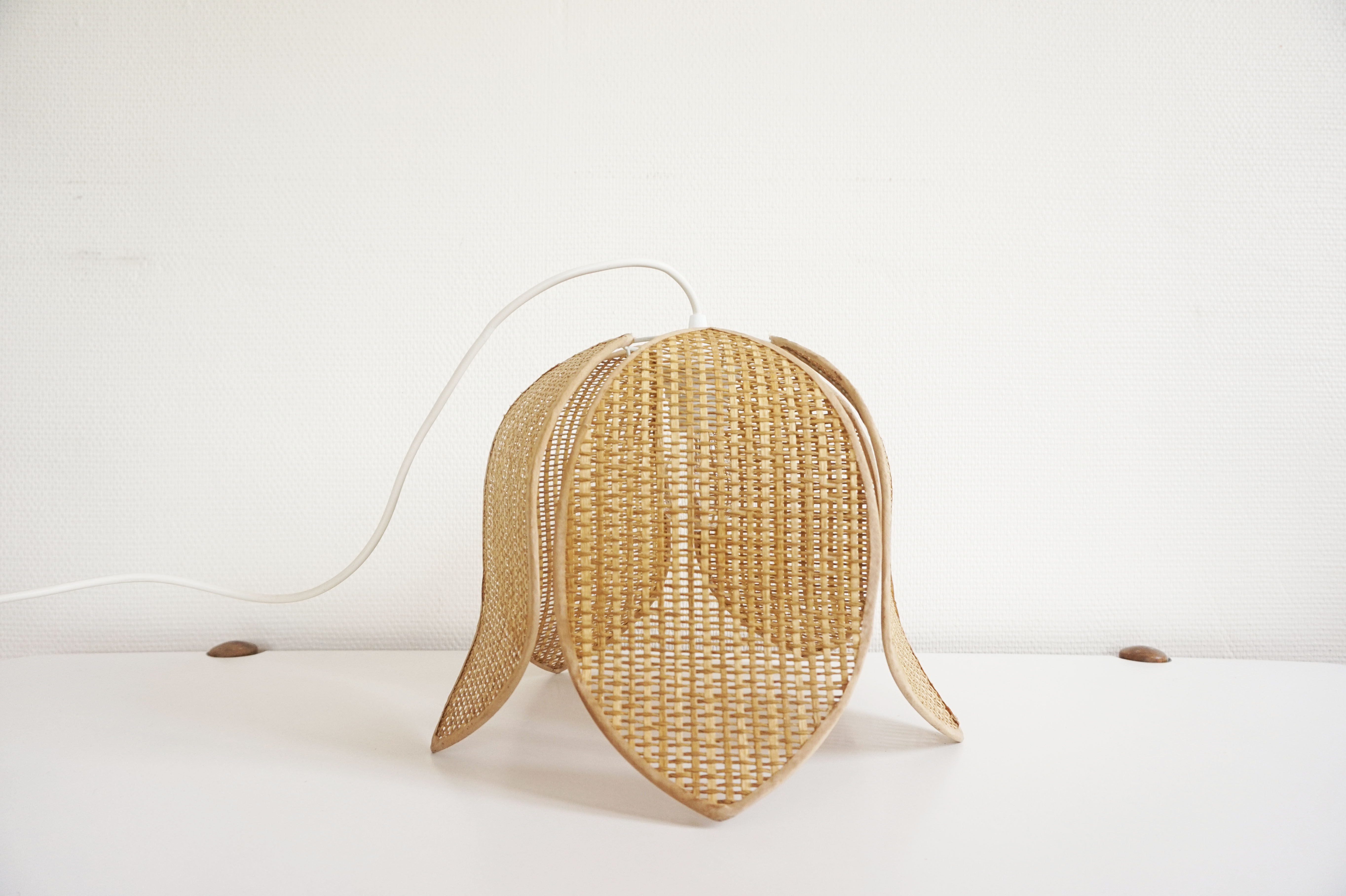 Braided rattan flower hanging lamp