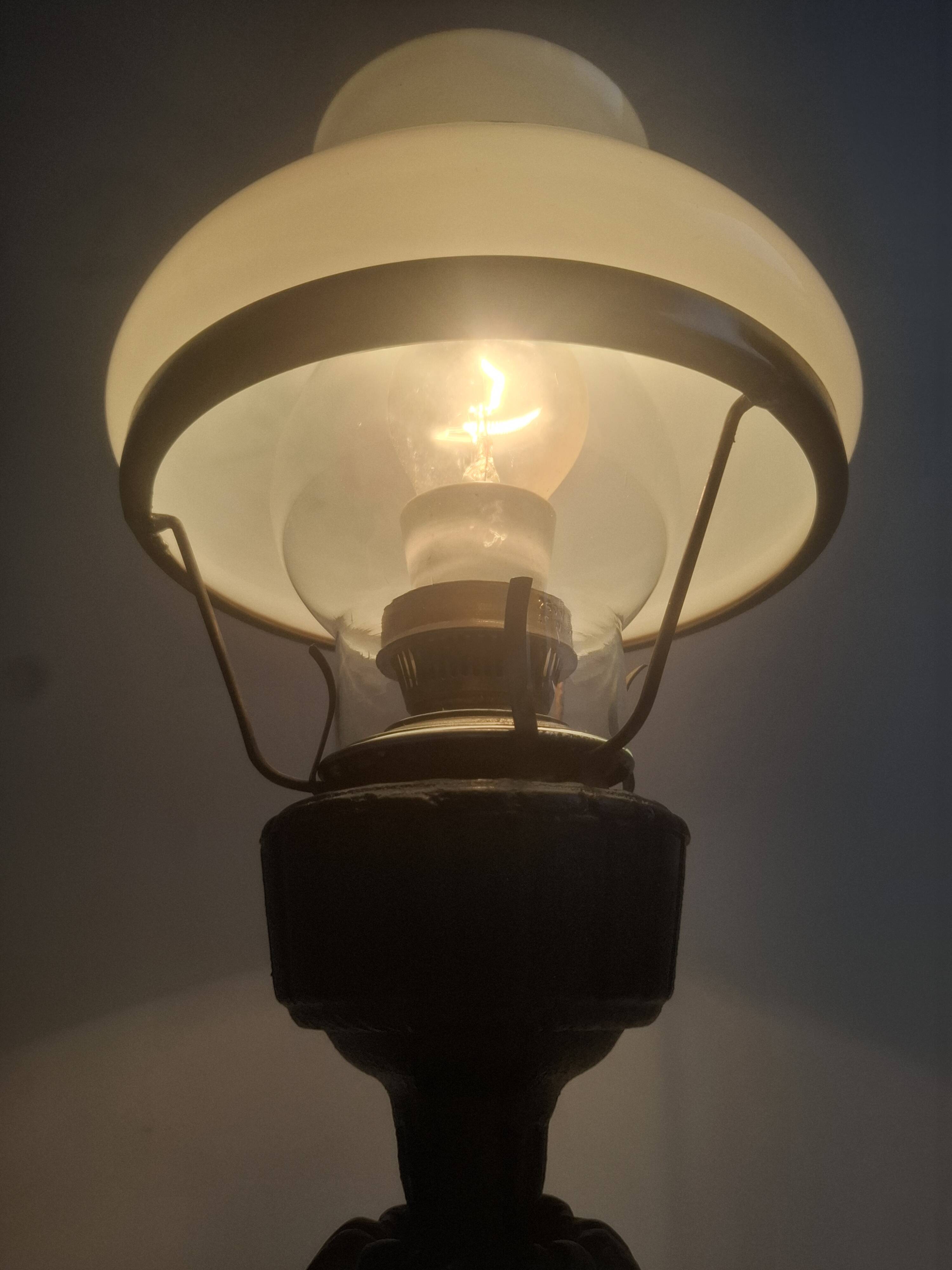 Mid-century Czech cast iron glass lamp vintage floral shade home lighting