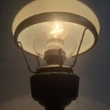 Mid-century Czech cast iron glass lamp vintage floral shade home lighting