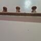 coat rack made of 3 vintage wooden hooks