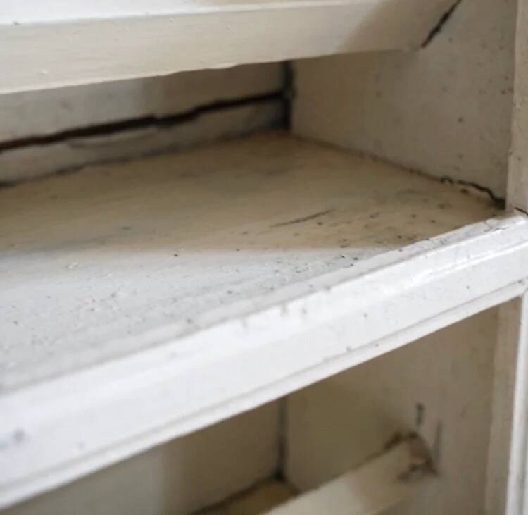 Large casserole dish