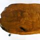 Original coffee table by Carl Aubock, large tree trunk in walnut from the mid-century, 1950s.