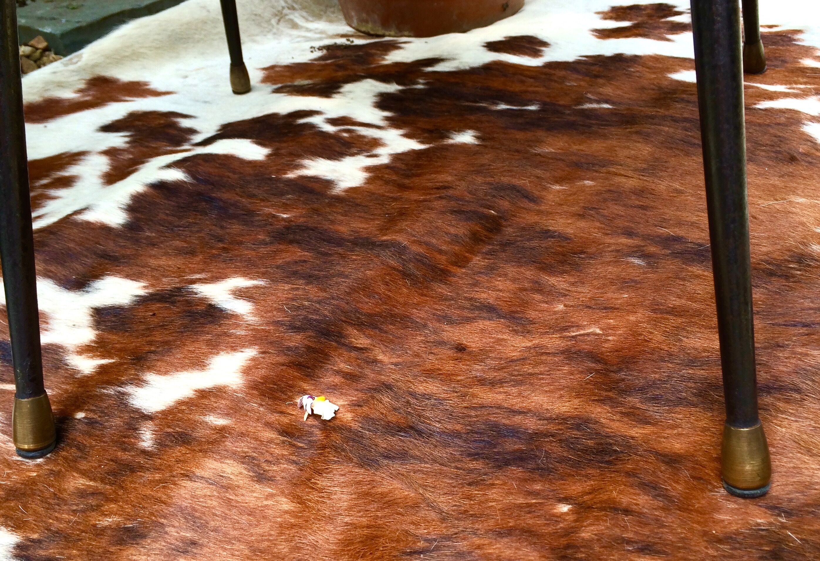 Chaise tulipe skaï noir des années 50