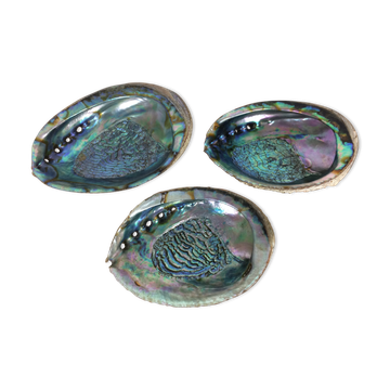 Trio de vides poches coquillage ormeau