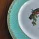 6 assiettes plates Fenal Badonviller "Oiseaux" vintage années 1950