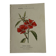Gravure botanique planche naturaliste fleur Française double face