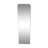 50's Mirror to Pose  42x143cm