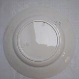Old blue plate