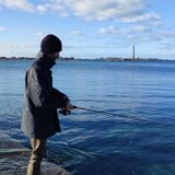 Framed art print "footprint of a school of octopuses"