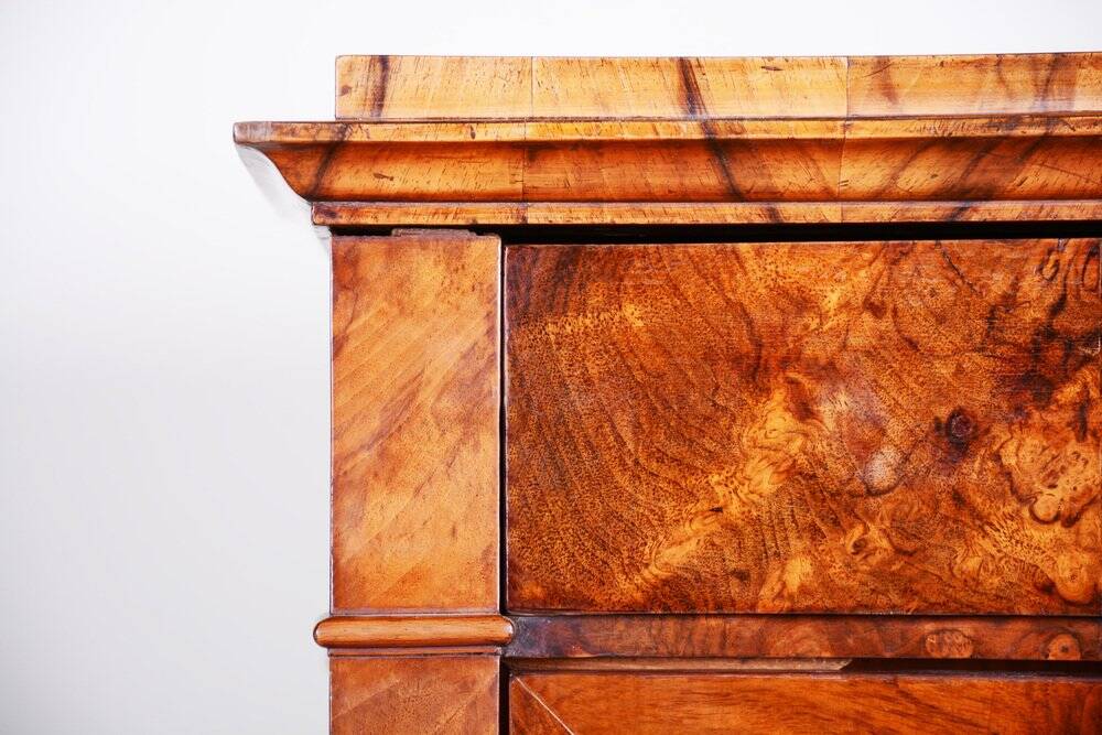 Biedermeier Display Bookcase, Walnut, Czech, 1830s