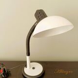 Aluminor flexible lamp