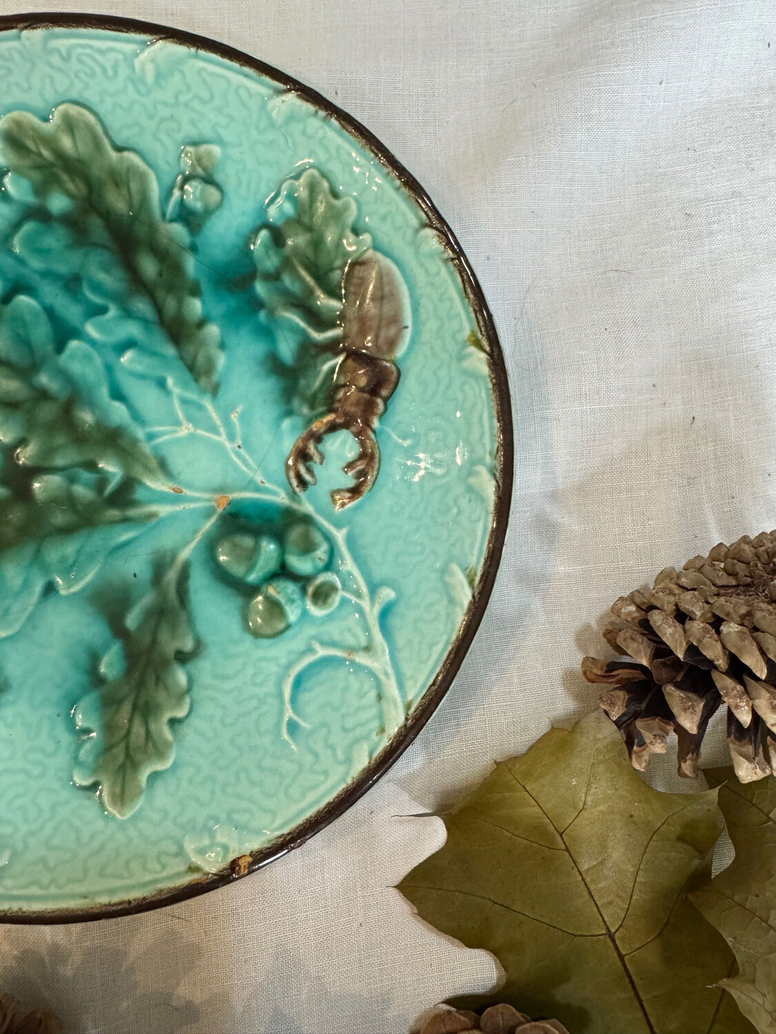 Rare scarab beetle plate