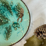 Rare scarab beetle plate