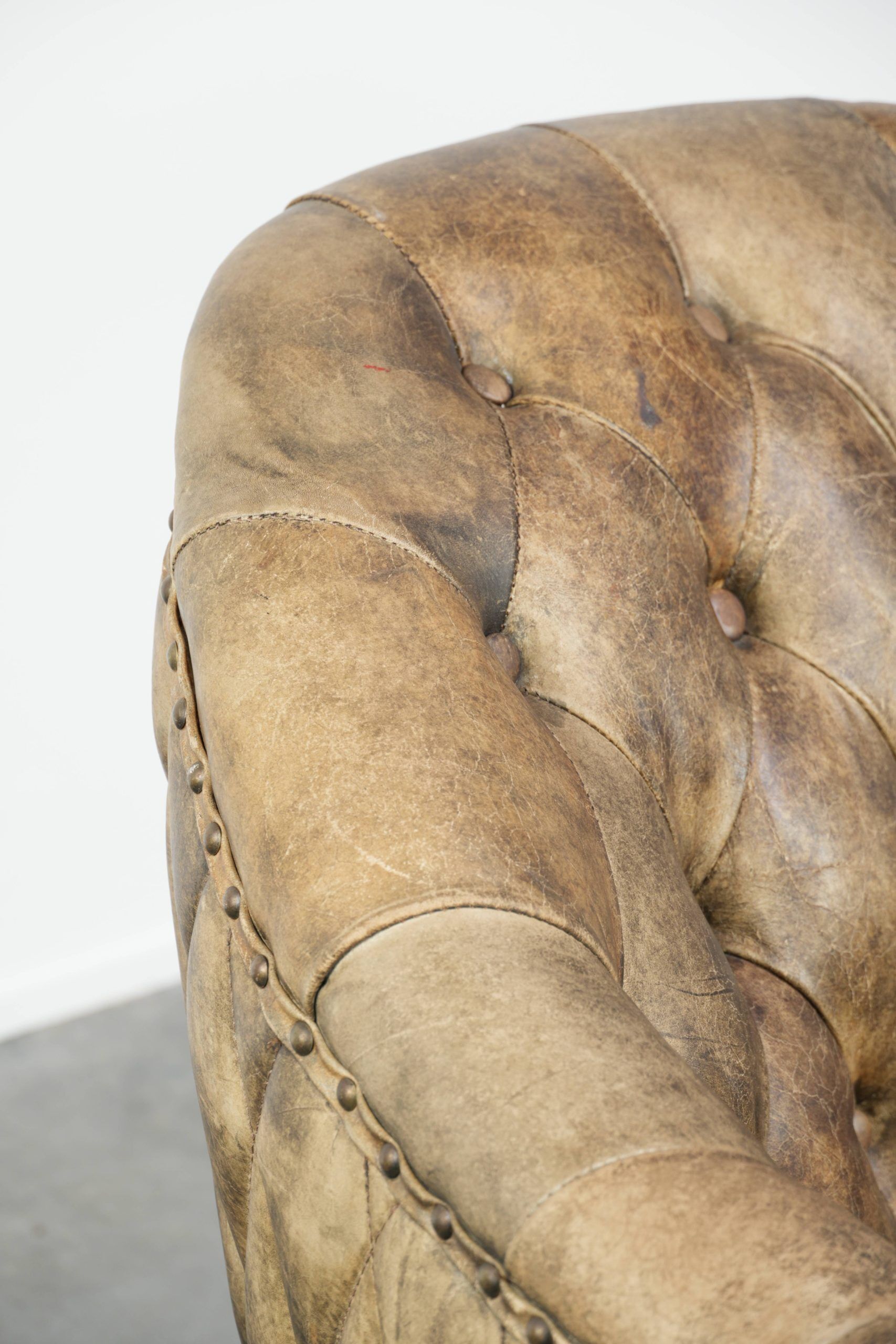 Unique cowhide Chesterfield club armchair with beautiful colour combination