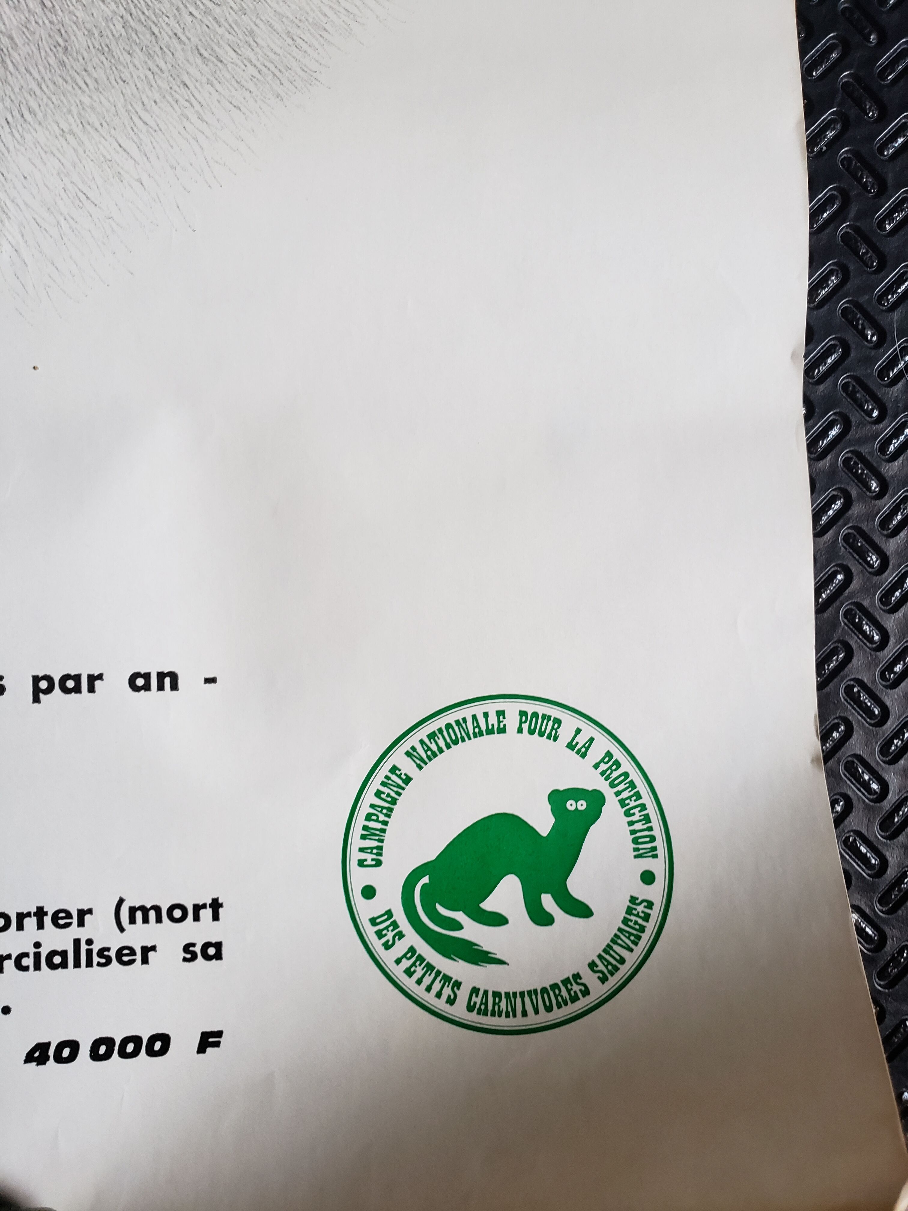 Vintage poster the wild cat is protected