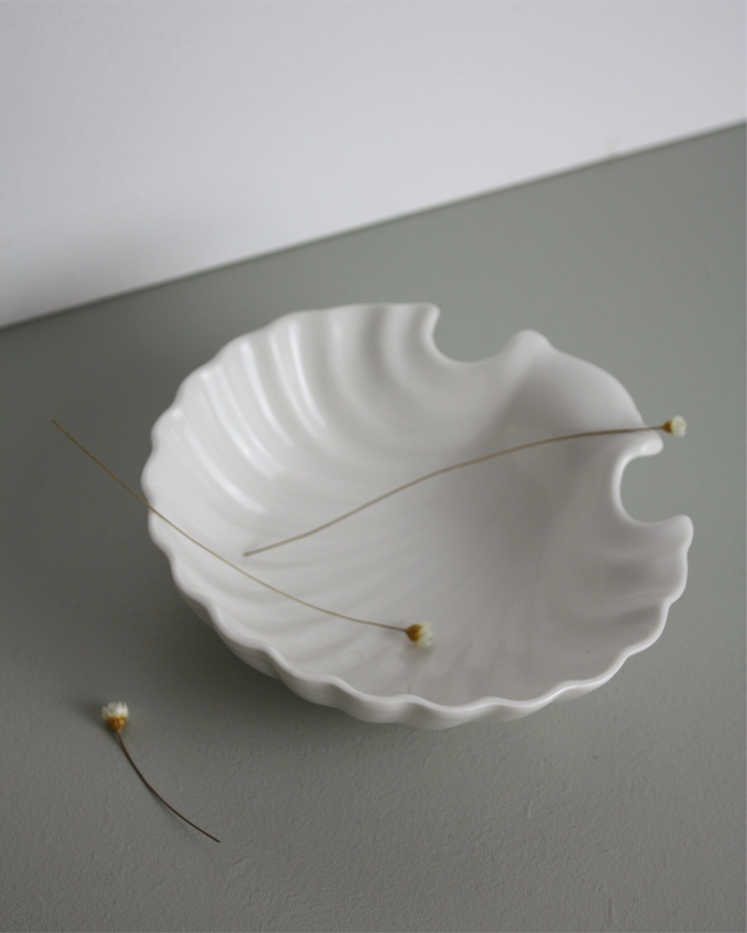 White porcelain shell pocket empty