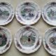 Set of 6 dessert plates in Sarreguemines model Obernai