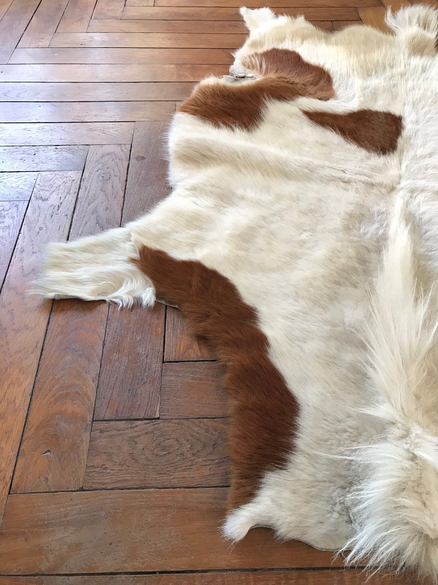 Pony skin 110x160cm
