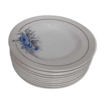 Set de 10 assiettes à dessert Sarreguemines France fond blanc et fleurs bleues